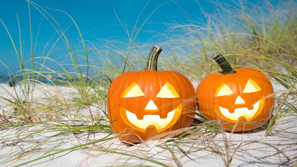 Halloween 2024 in Cornwall: Spooky Fun for All Ages